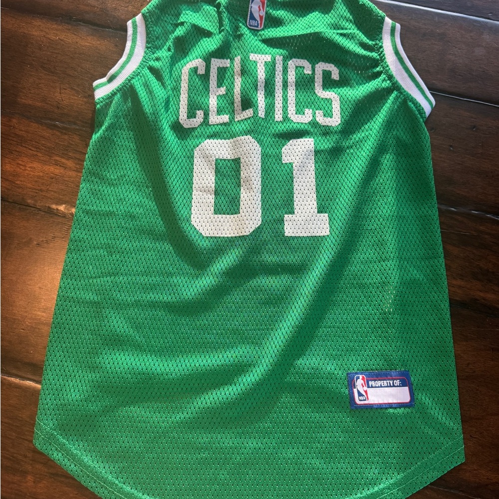 NBA Green Celtics Dog  Jersey
